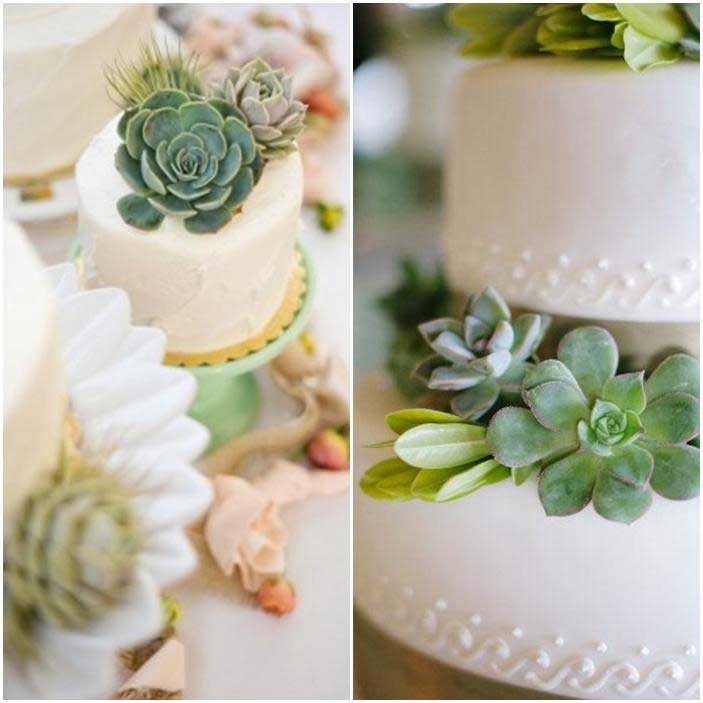 idées decoration du gateau de mariage avec des plantes grasses, des plantes succulentes, cactus